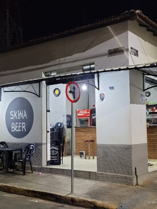 Skina Beer