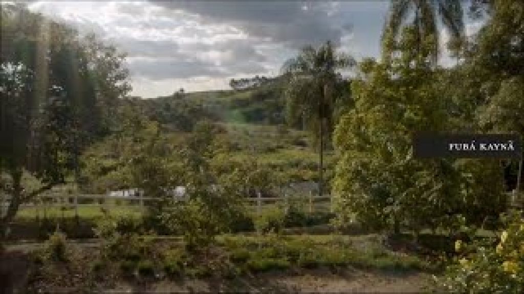 Hills