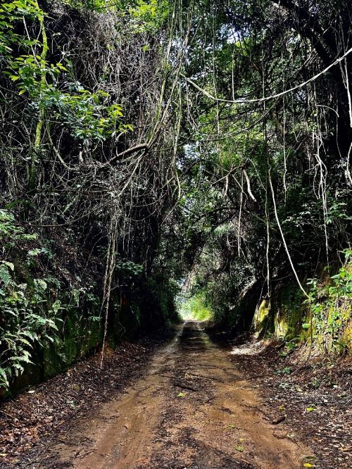 Estrada de Ferro