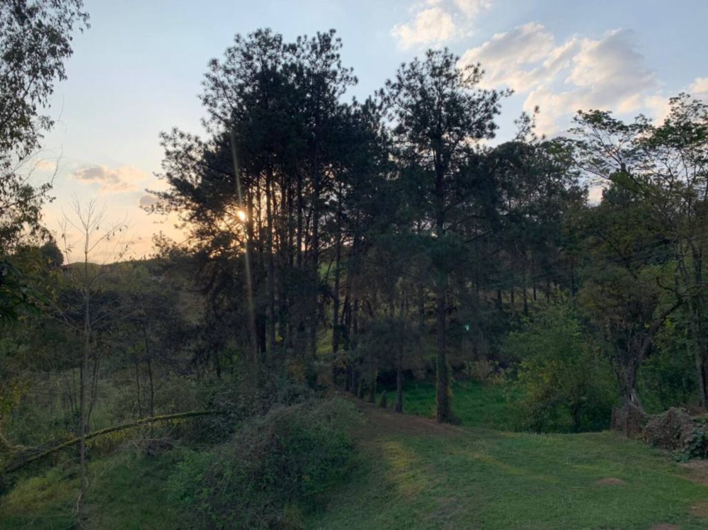 Hills